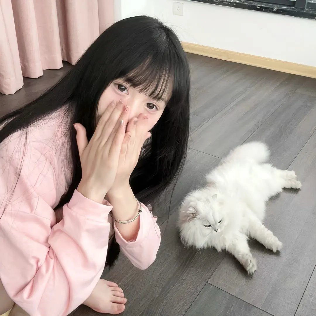 麻辣教授
